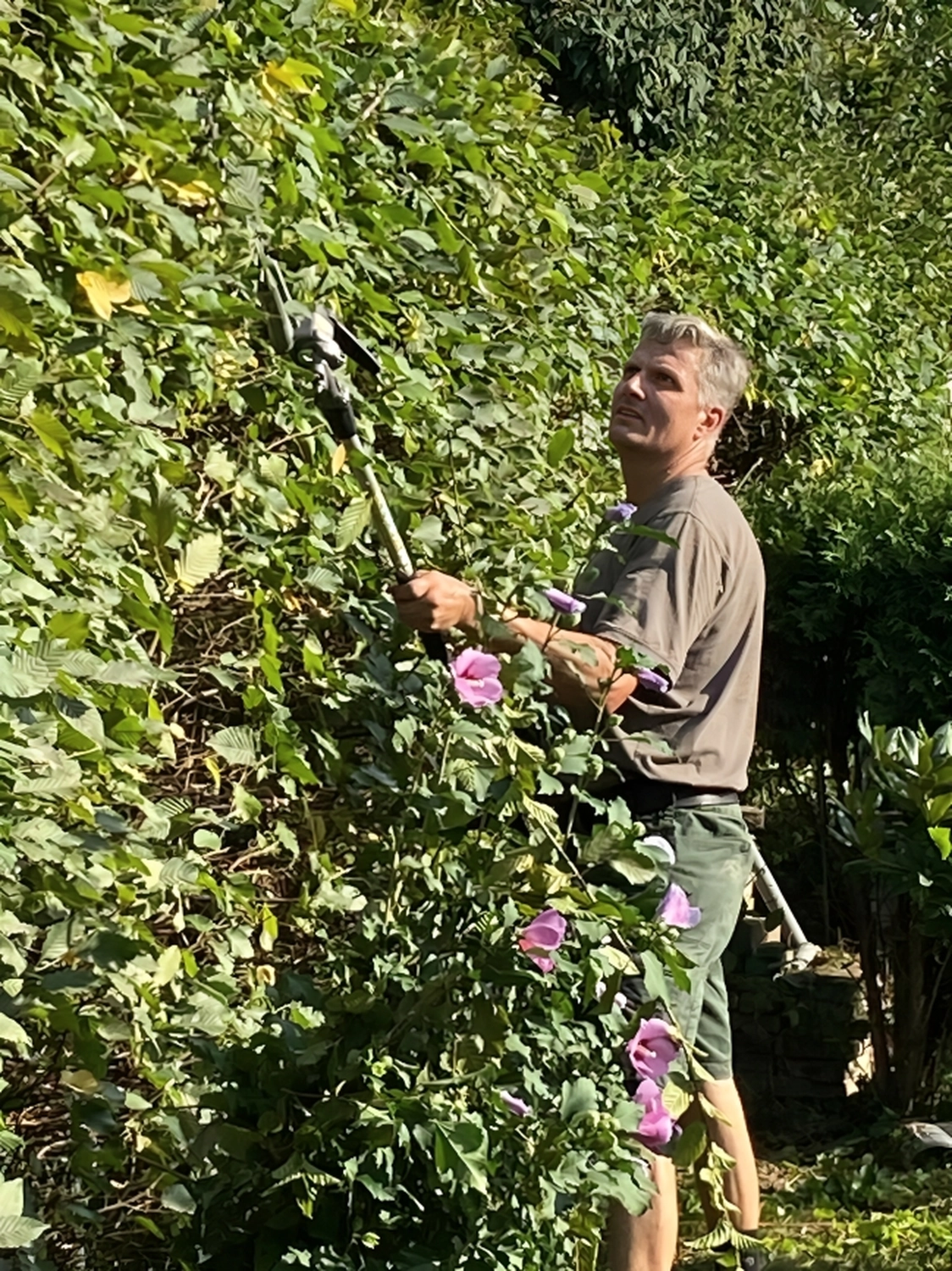 CMD GrünBau - Garten- und Landschaftsbau - Christian Drügg, Gartenbaumschnitt
